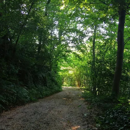 La Cordana