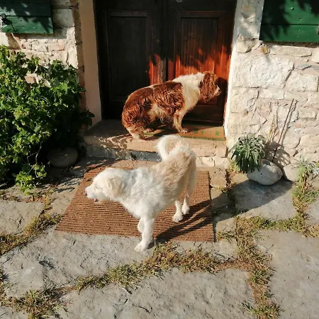 Bed and Breakfast La Cordana Valdobbiadene