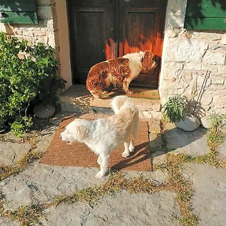 Bed and breakfast La Cordana